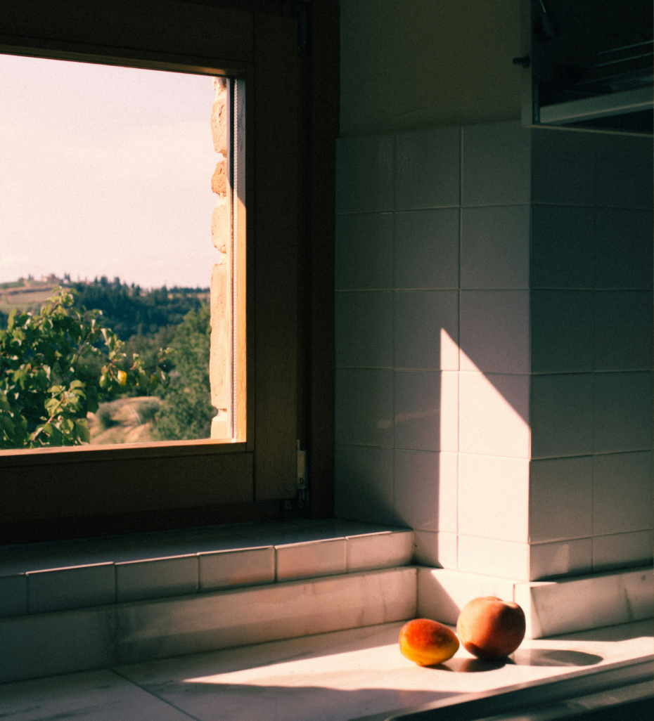 Close up of fuzzy peaches on a kitchen counter