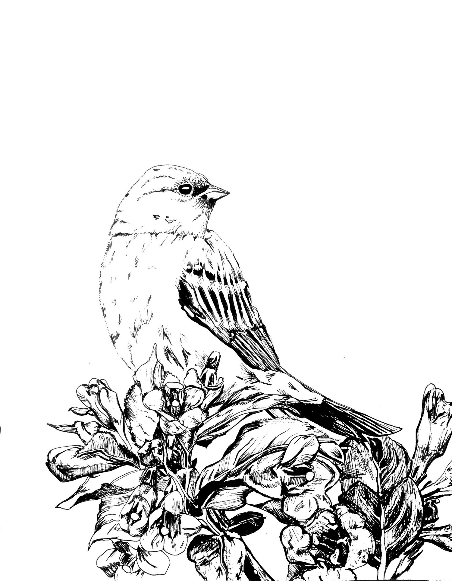 black and white drawing of a bird seated atop flowers