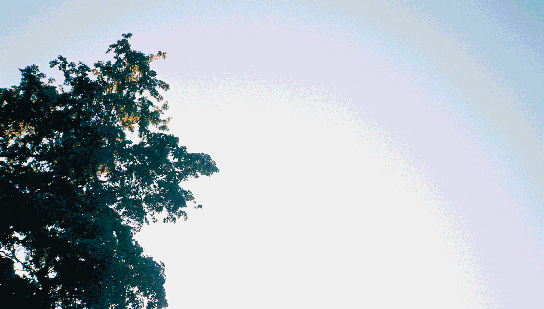 Animated gif of illustrations of gardening placed on a blue sky background