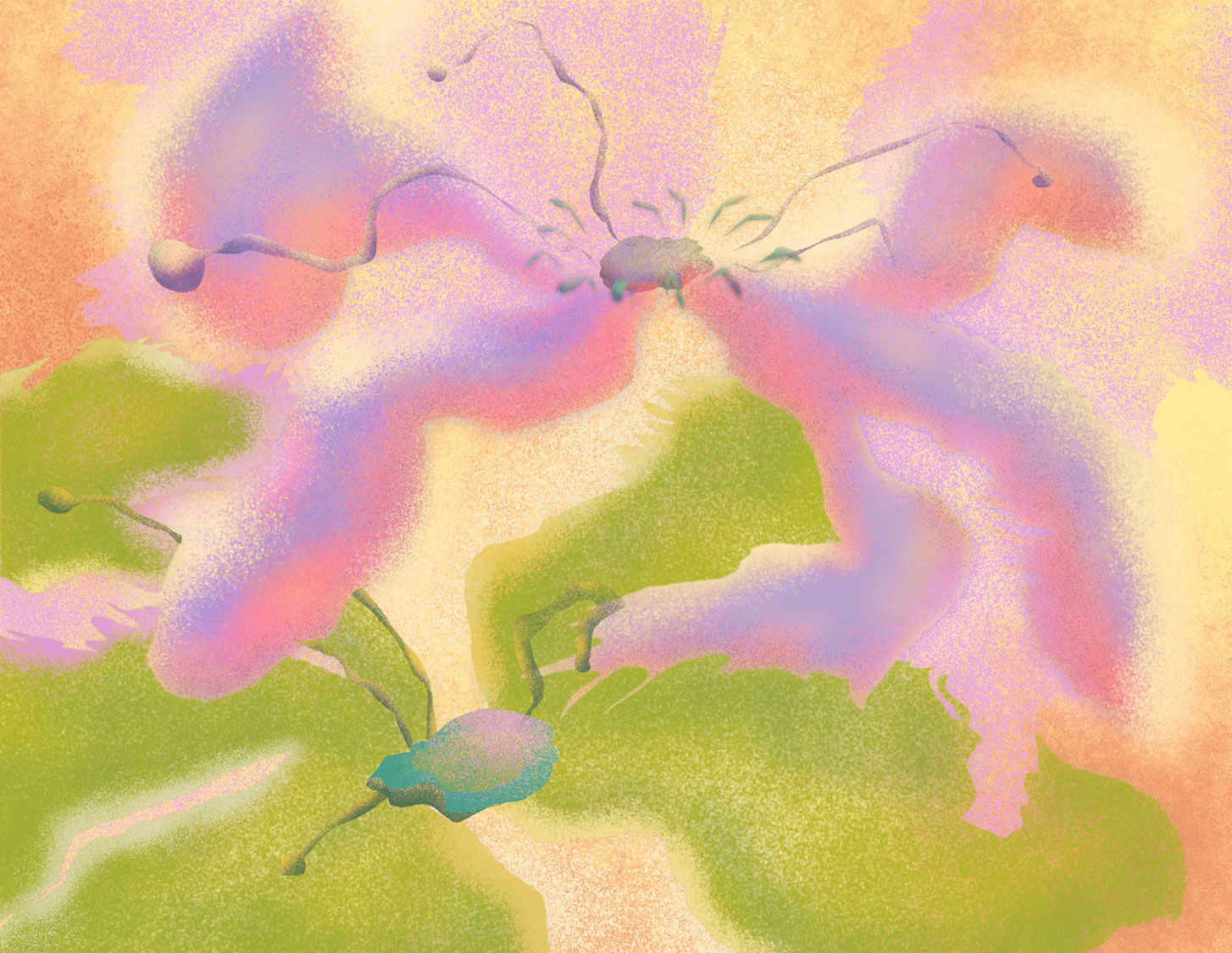 Sea Star Vineyard illustration featuring flowers and sunlight