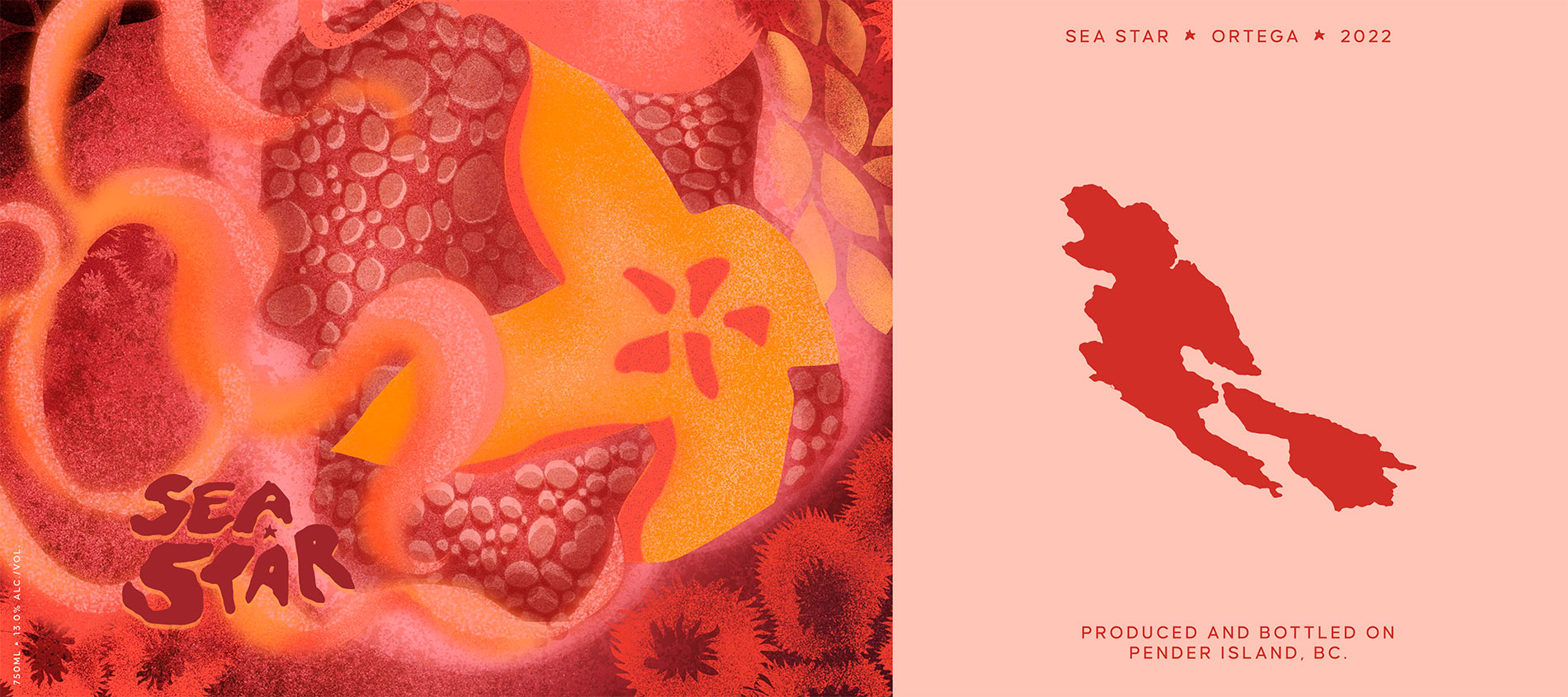 Sea Star Vineyard Intertidal rosé label featuring intertidal life illustration