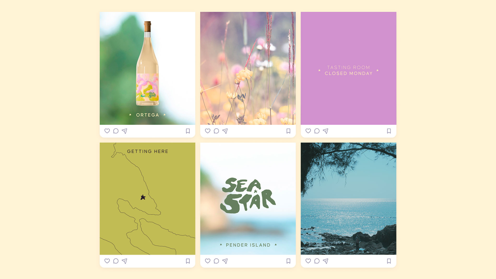 Sea Star Vineyard Social media brand layout
