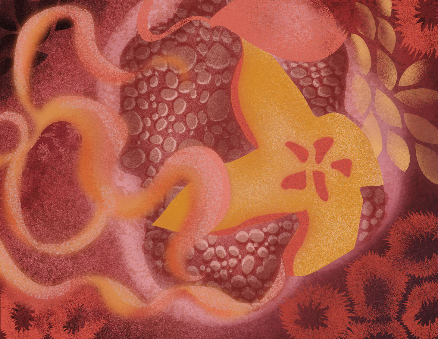 Sea Star Vineyard illustration featuring intertidal starfish and reef